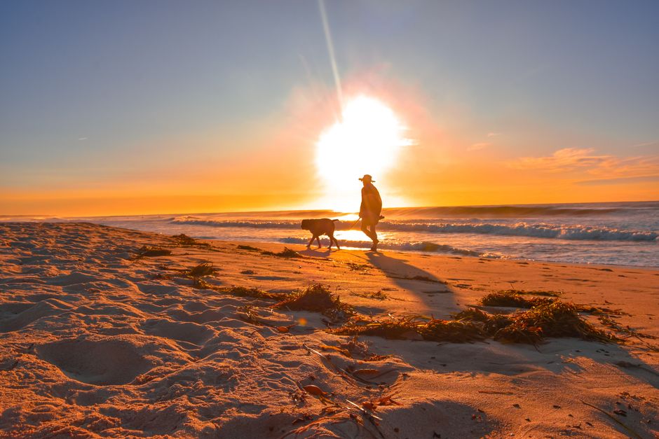 Illustrative photo for Budget Virginia Beach: Free & Nearly Free Things to Do — not an actual photo of any specific listed place